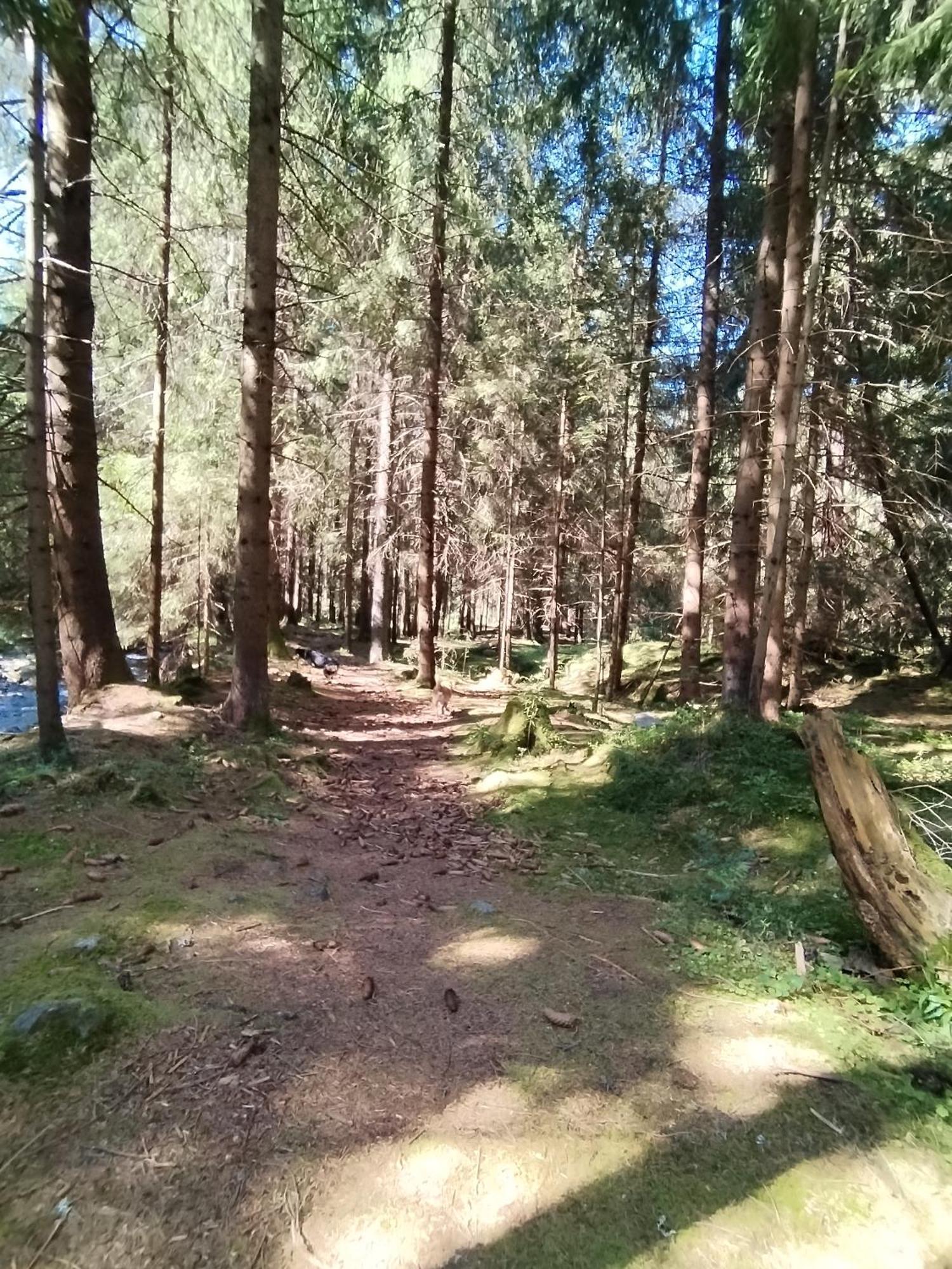 Penzion Real Žiar Exterior foto